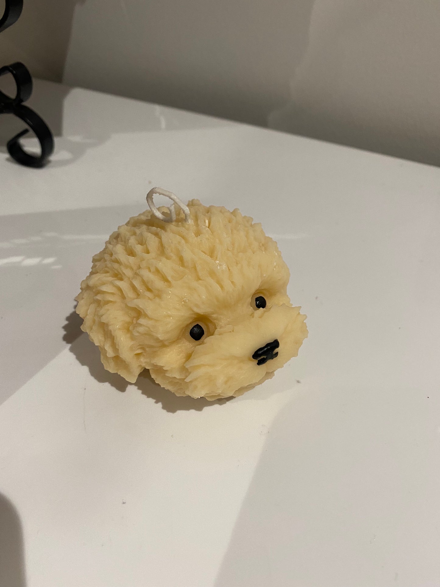 cavoodle puppy head candle