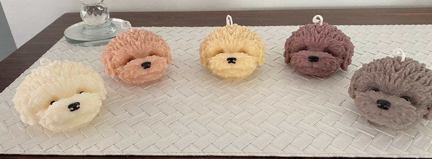 cavoodle puppy head candle