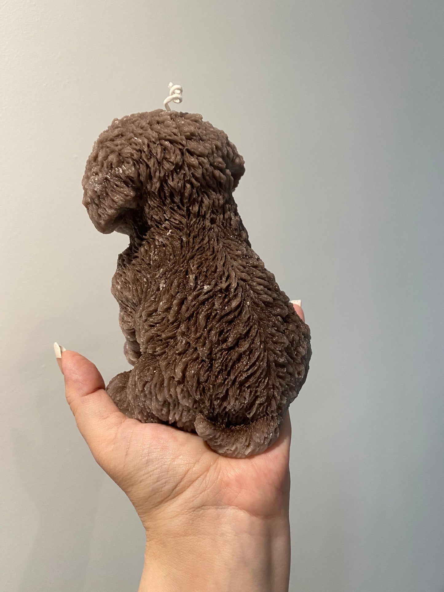 cavoodle puppy candle full size