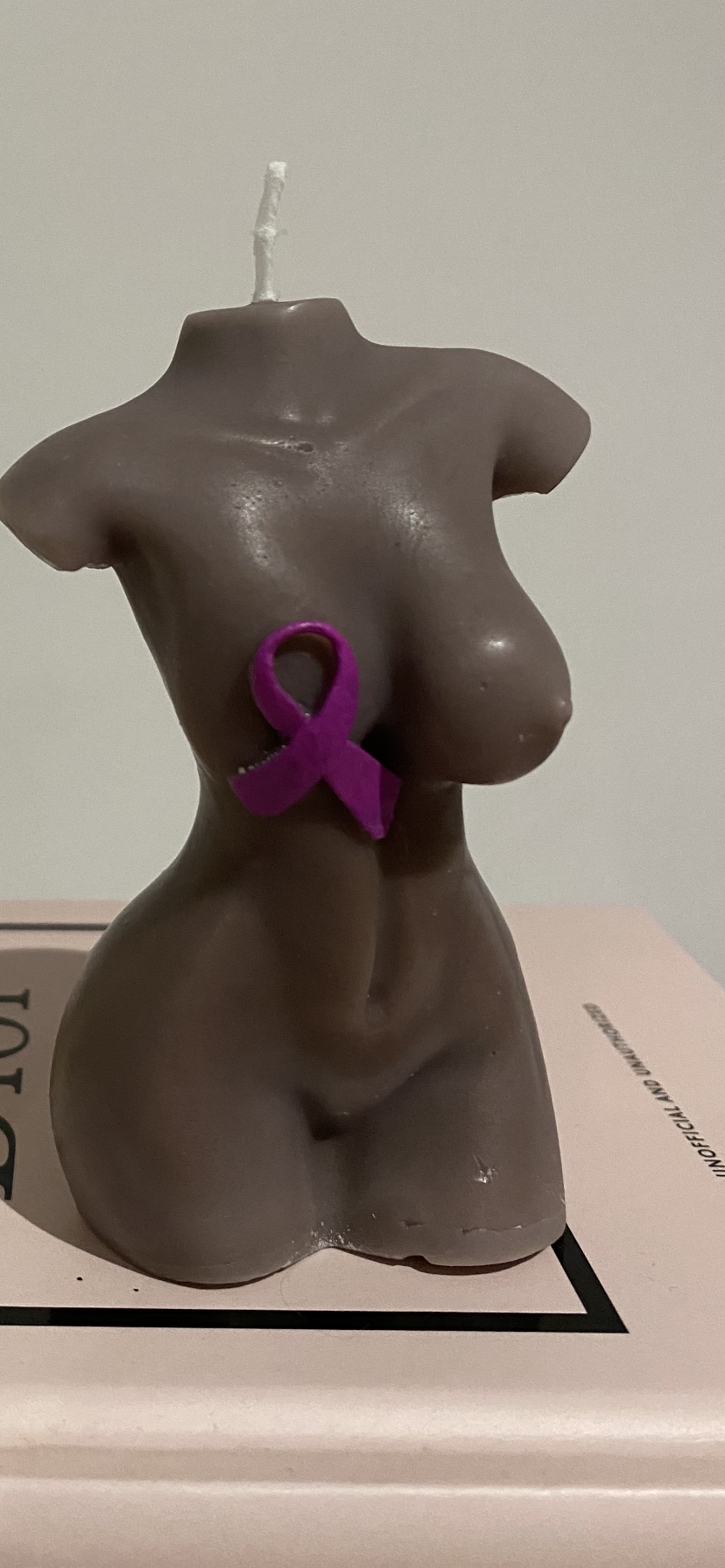 Survivor Female Torso breast cancer awareness